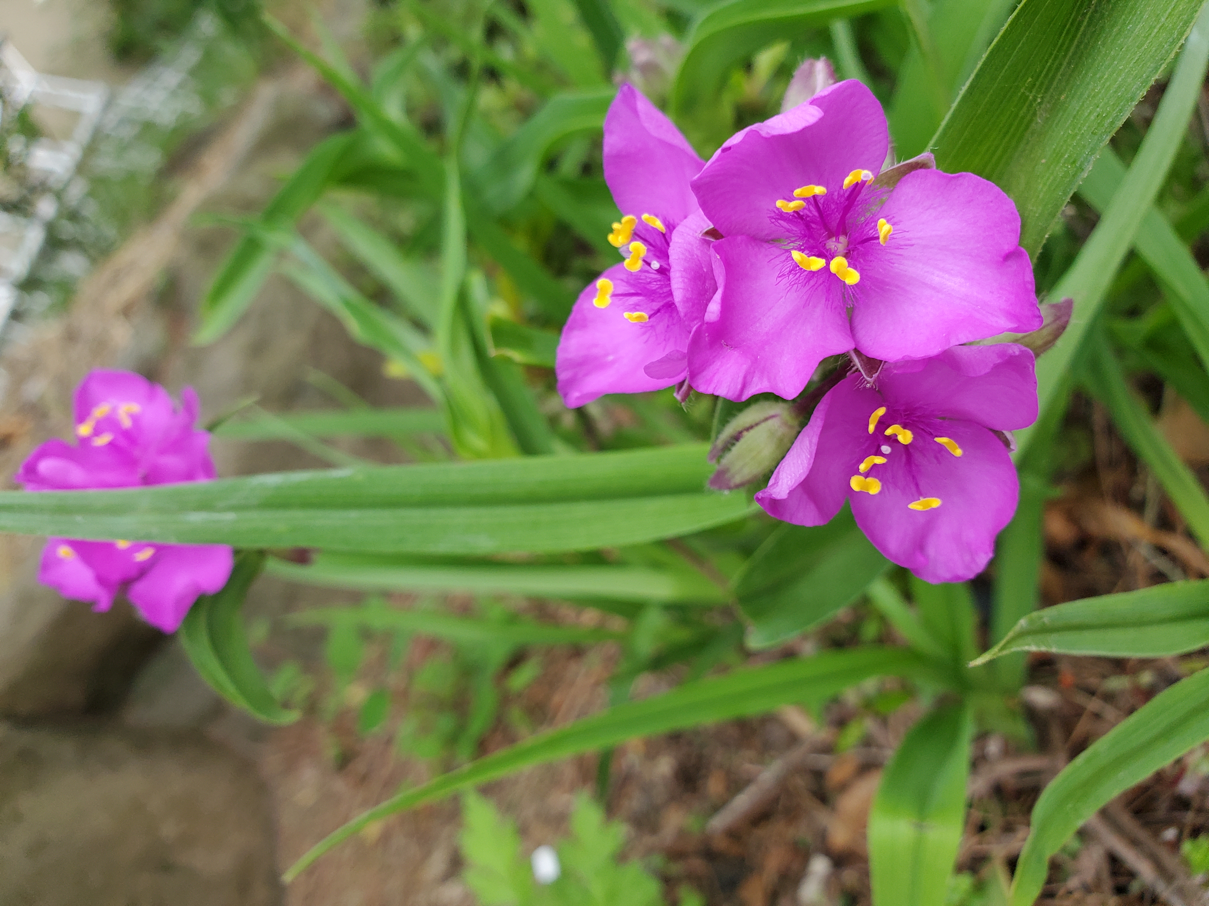 image12