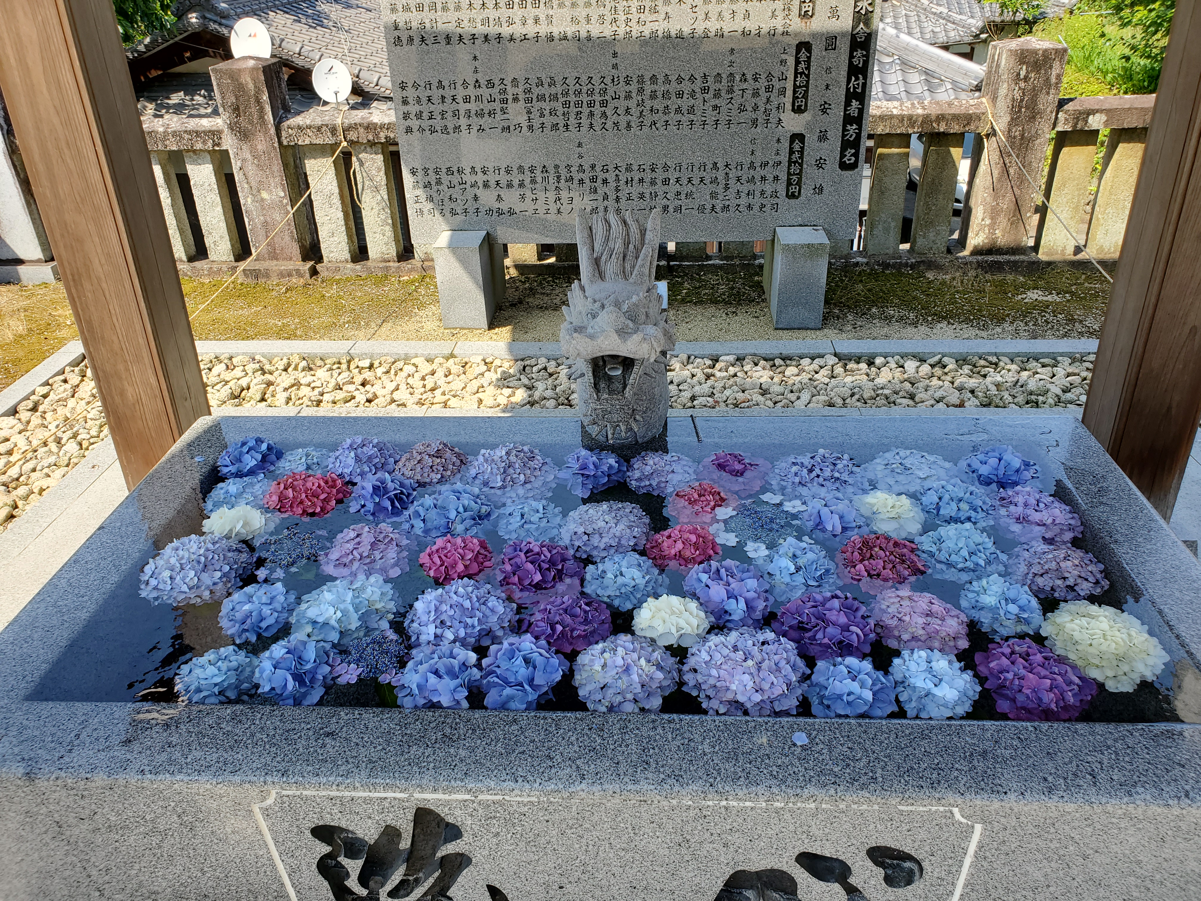 image14